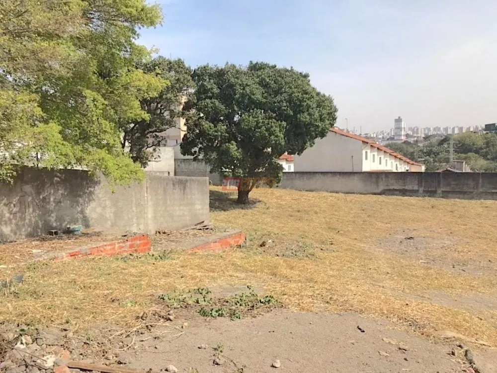 Terreno, 2166 m² - Foto 4
