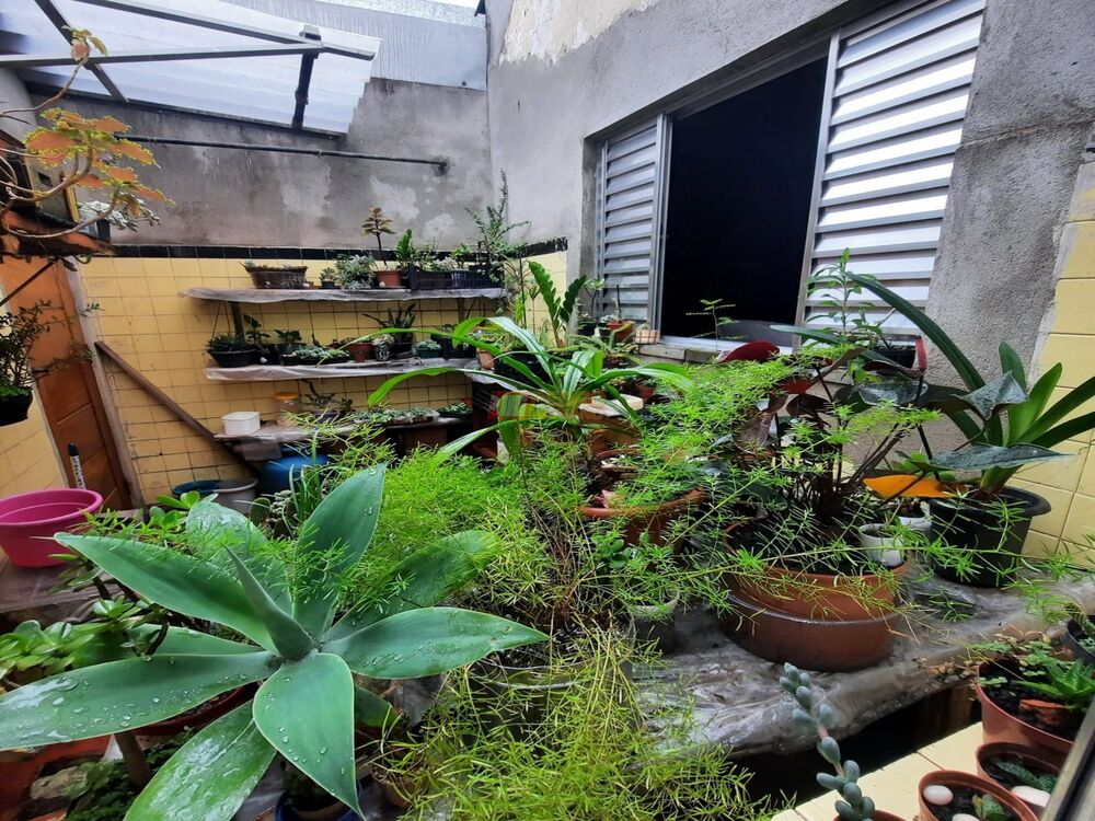 Casa, 5 quartos, 256 m² - Foto 22