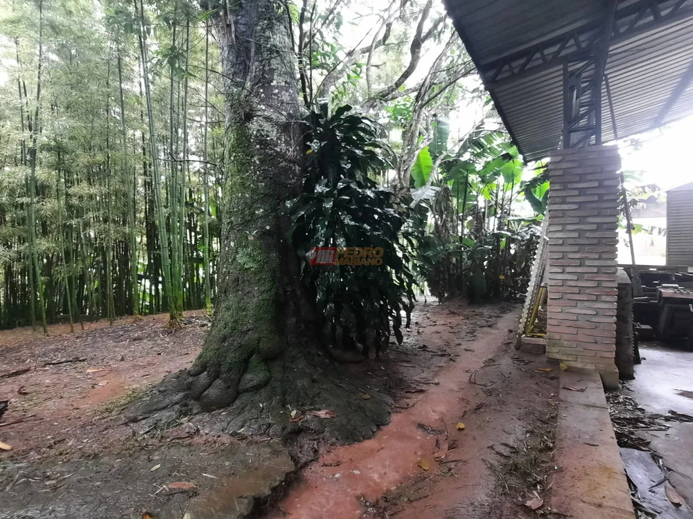 Chácara, 2 quartos, 7039 m² - Foto 6