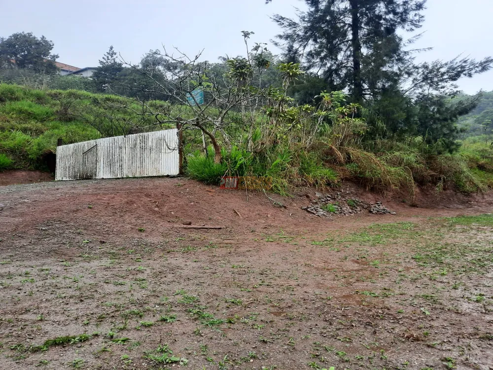 Chácara, 2 quartos, 7039 m² - Foto 2