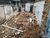 Terreno, 125 m² - Foto 5