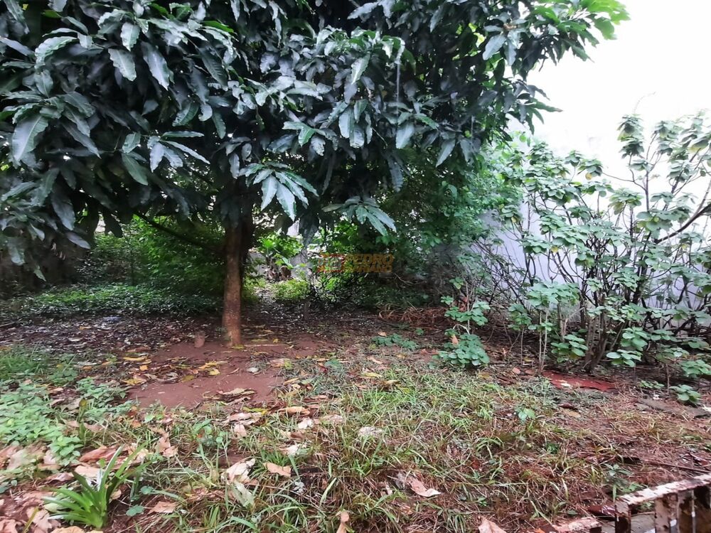 Casa, 3 quartos, 209 m² - Foto 15
