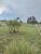 Terreno, 1000 m² - Foto 5