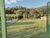 Terreno, 1000 m² - Foto 2