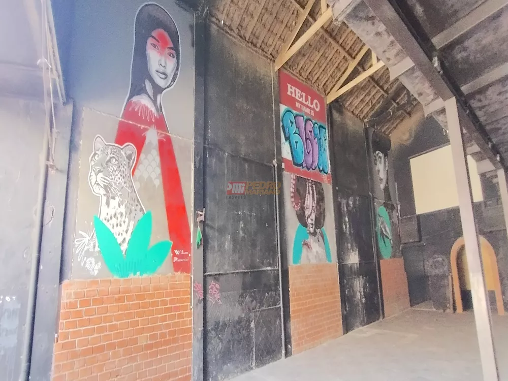 Sala-Conjunto, 256 m² - Foto 5