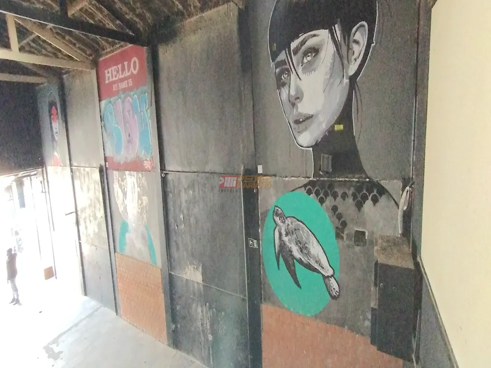 Sala-Conjunto, 256 m² - Foto 6