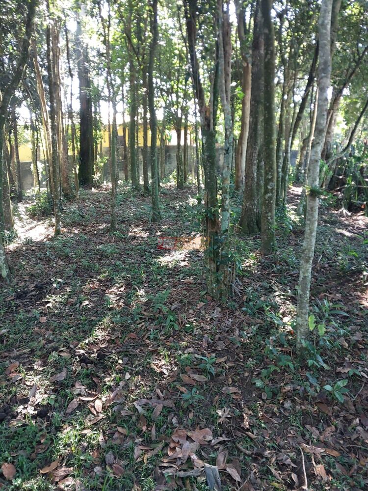 Terreno, 1399 m² - Foto 4