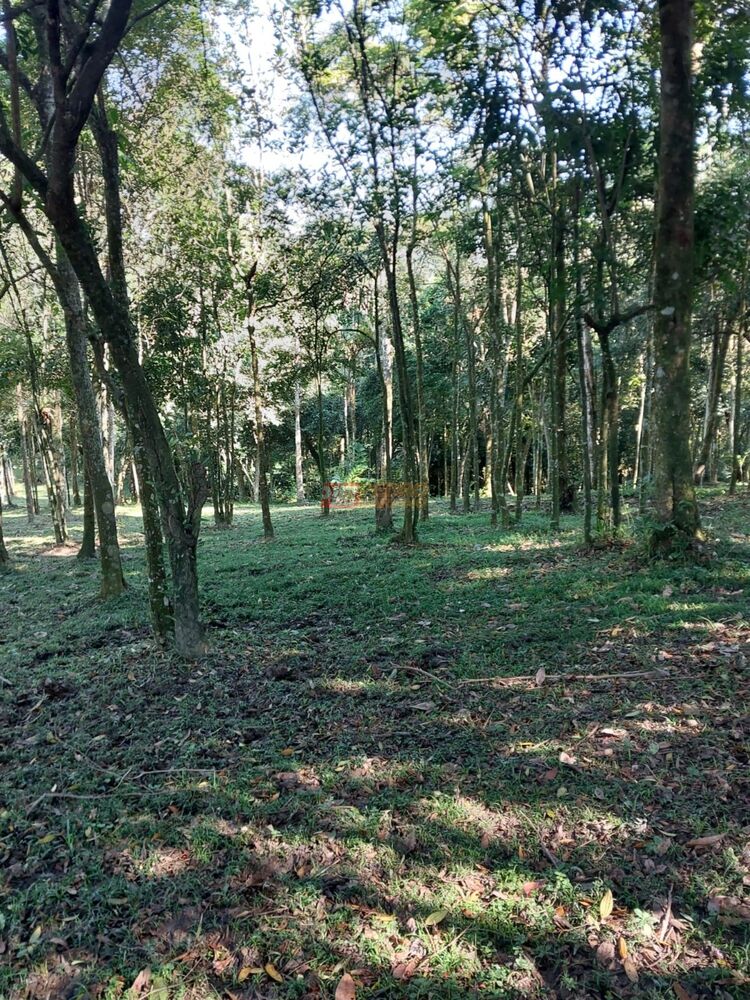 Terreno, 1399 m² - Foto 5