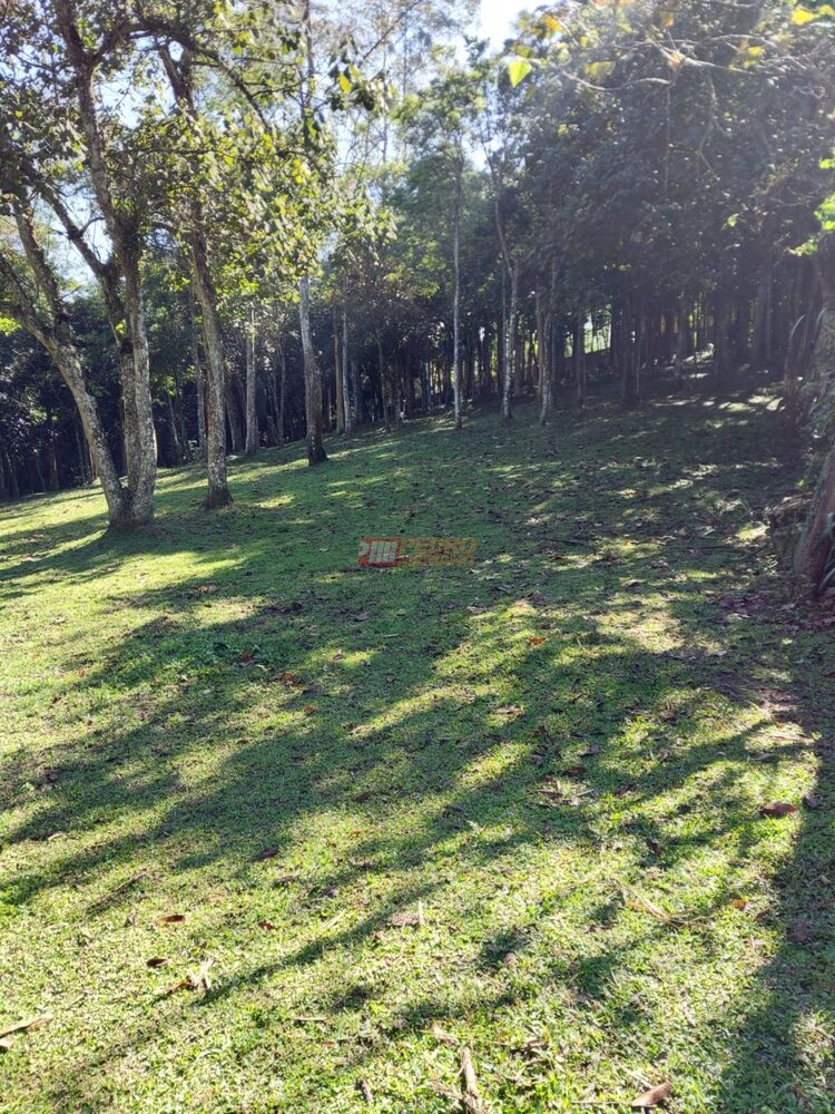 Terreno, 1399 m² - Foto 2