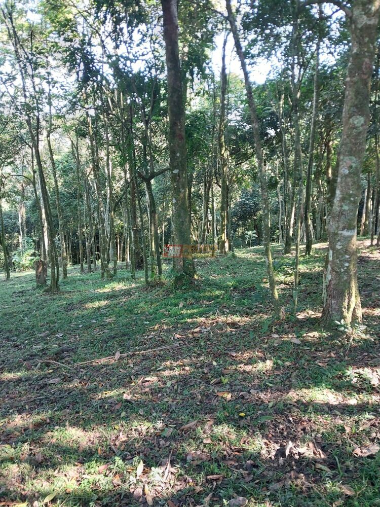 Terreno, 1399 m² - Foto 8