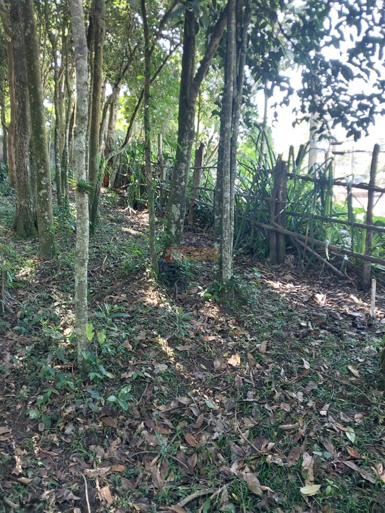 Terreno, 1399 m² - Foto 7