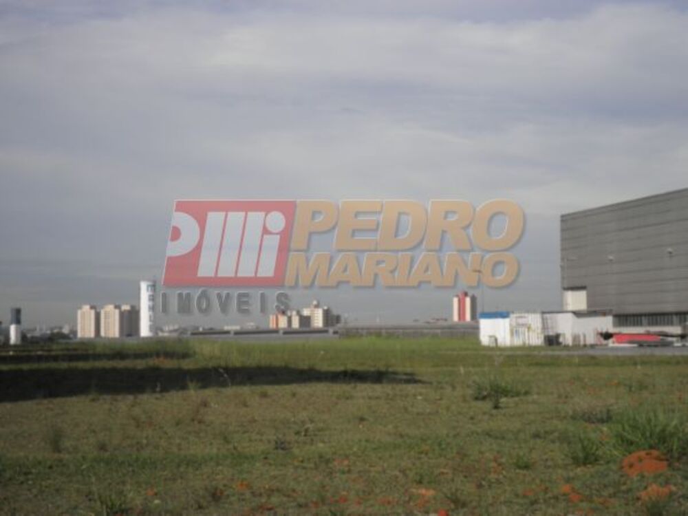 Terreno, 6560 m² - Foto 1