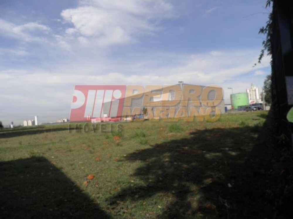 Terreno, 6560 m² - Foto 2