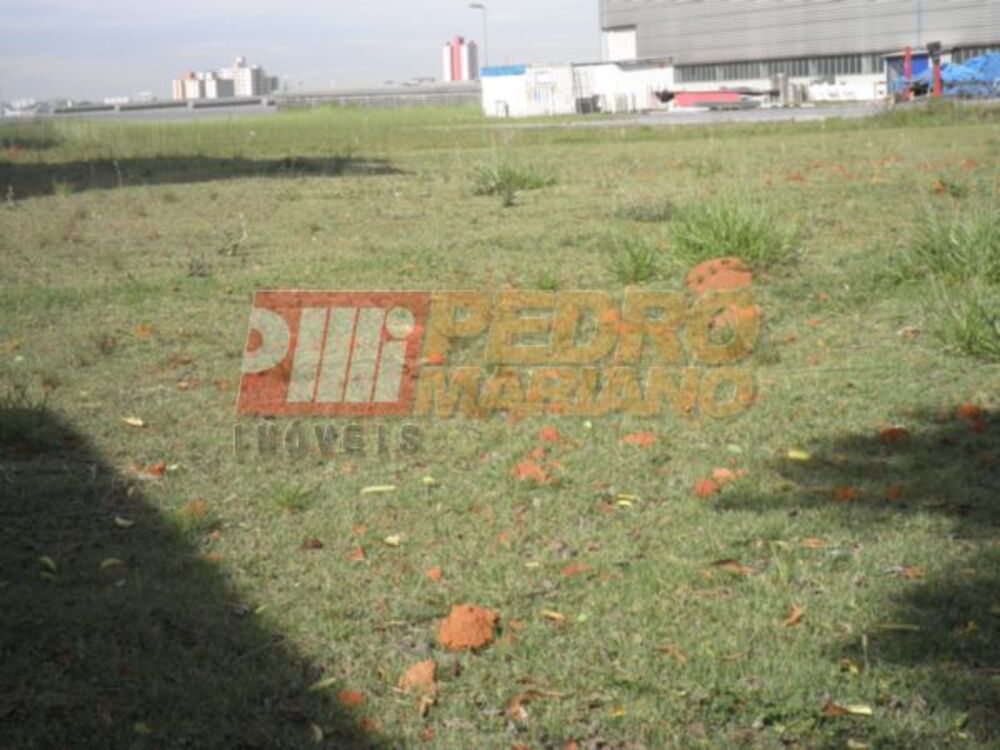 Terreno, 6560 m² - Foto 3