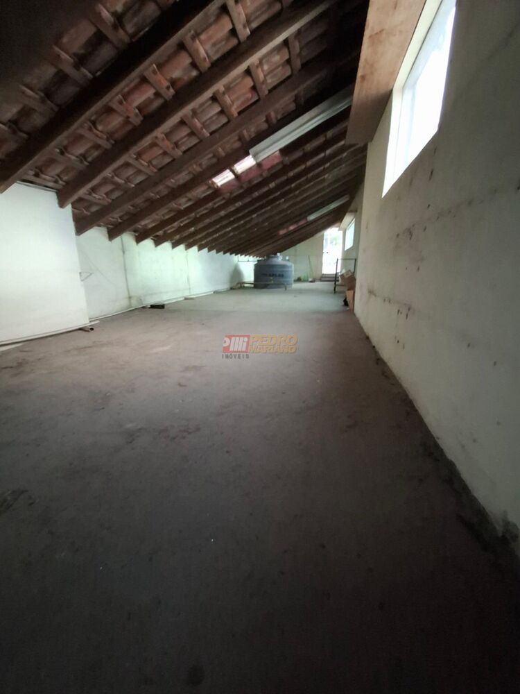 Conjunto Comercial-Sala para alugar, 220m² - Foto 4