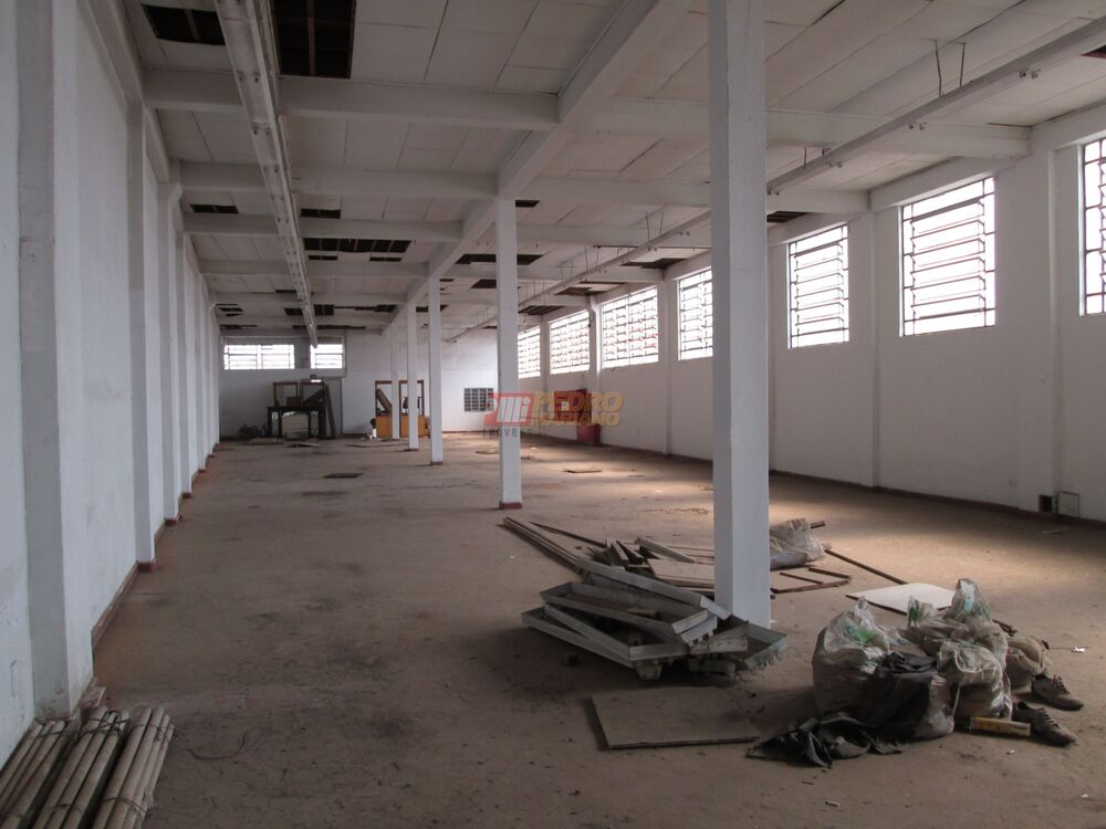 Sala-Conjunto, 450 m² - Foto 4