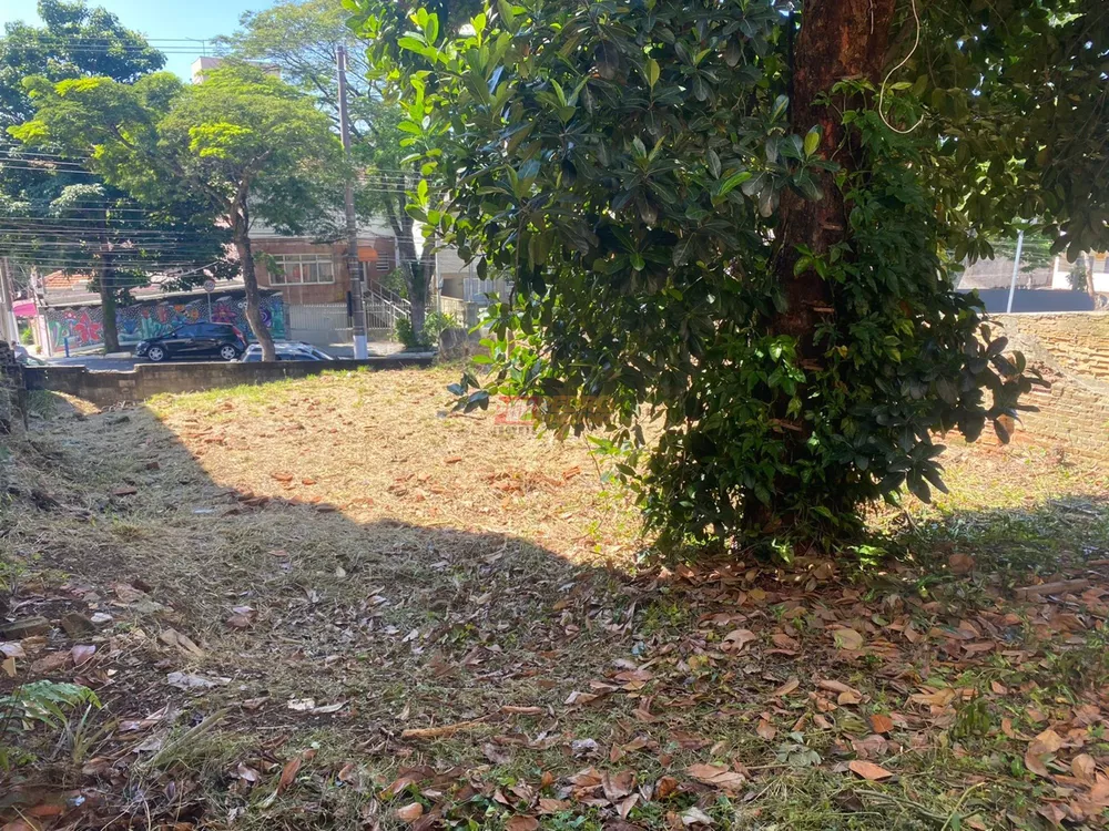 Terreno, 257 m² - Foto 3