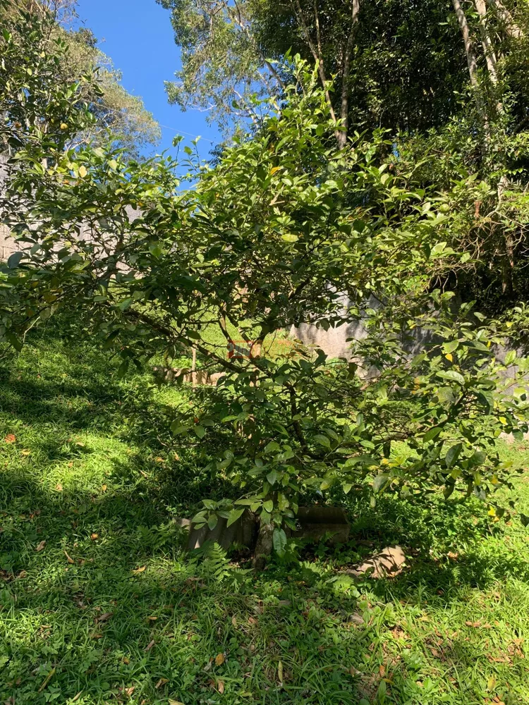 Chácara, 3 quartos, 2500 m² - Foto 20