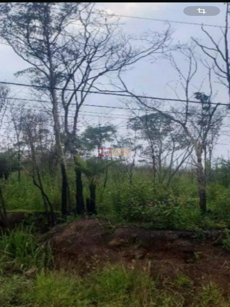 Terreno, 12 m² - Foto 7