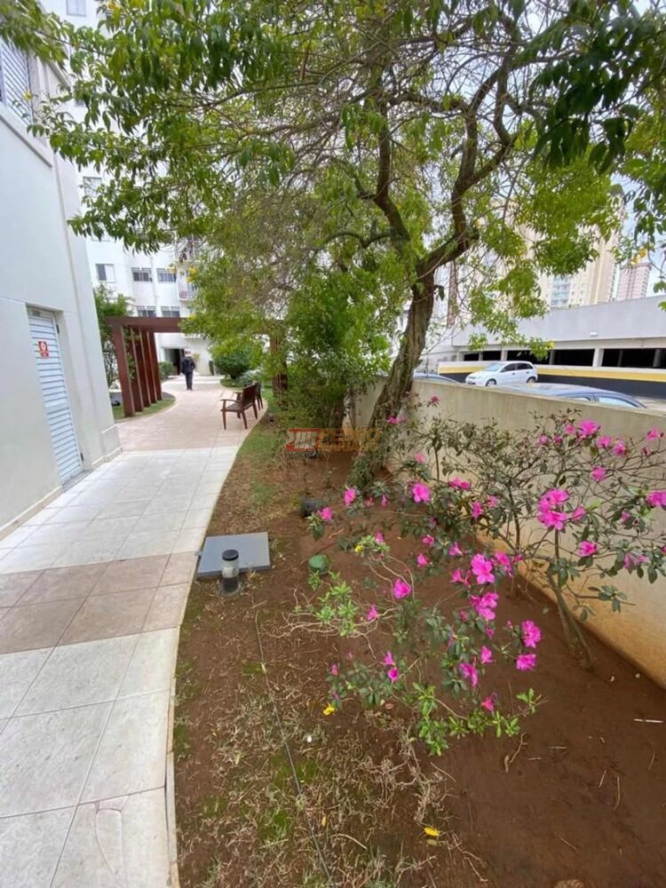 Apartamento, 3 quartos, 65 m² - Foto 2