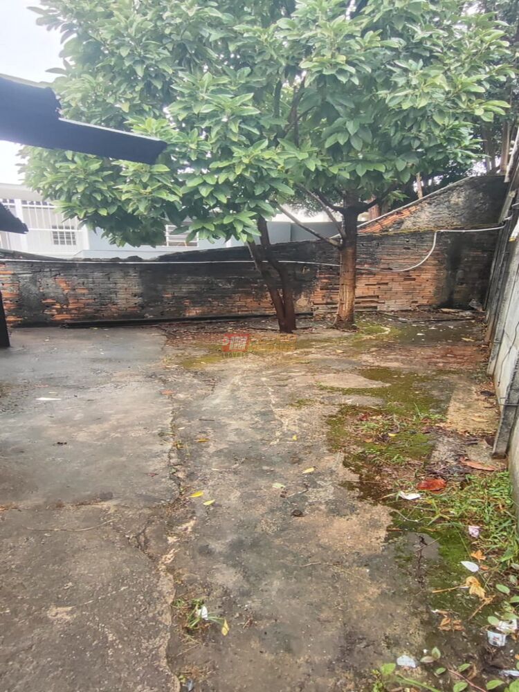 Sala-Conjunto, 250 m² - Foto 17