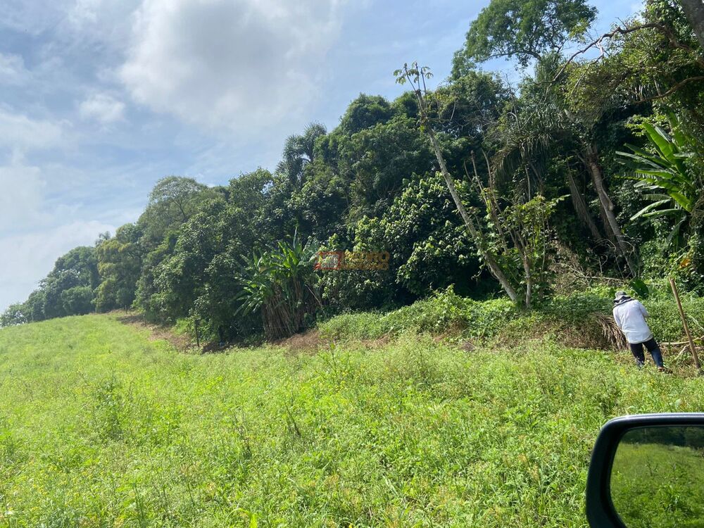 Terreno, 19 hectares - Foto 6