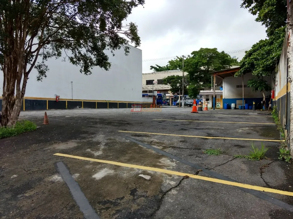 Terreno, 1000 m² - Foto 4