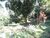 Terreno, 2400 m² - Foto 3
