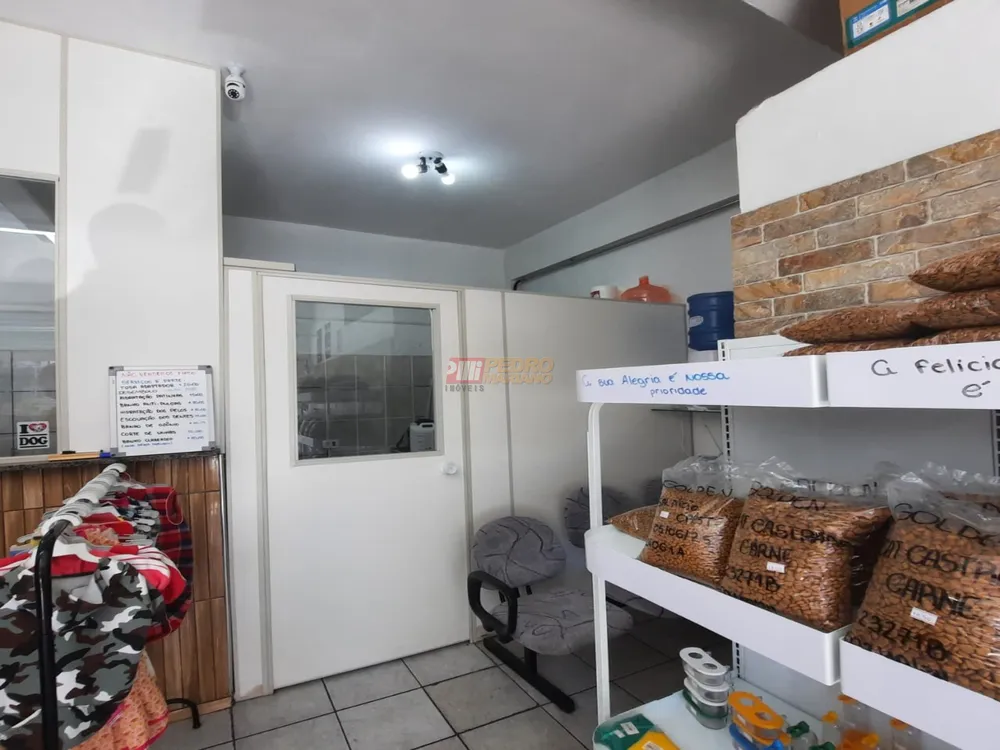 Casa, 4 quartos, 239 m² - Foto 21