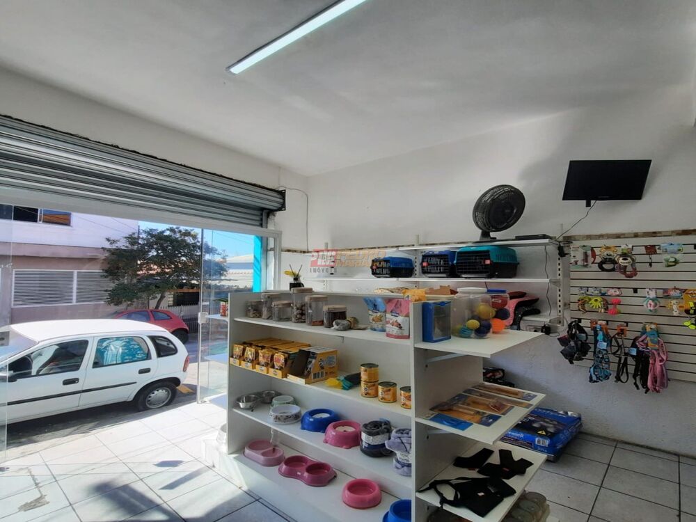 Casa, 4 quartos, 239 m² - Foto 16