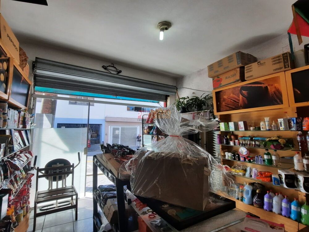 Casa, 4 quartos, 239 m² - Foto 15