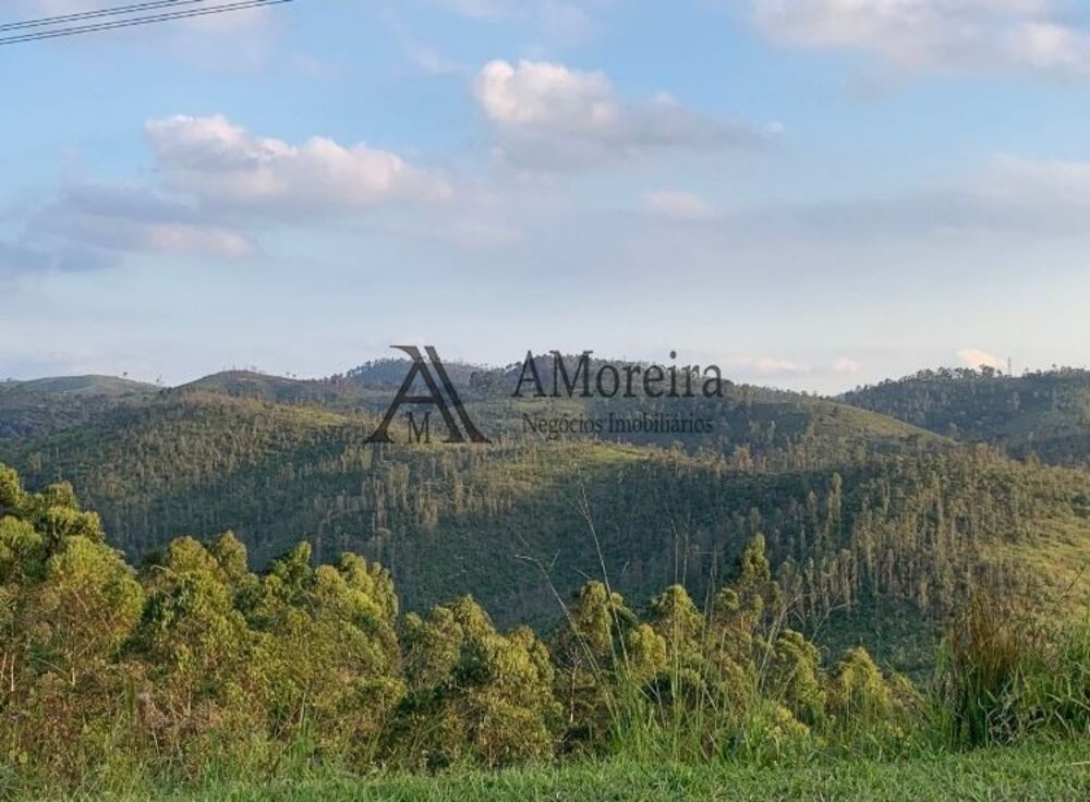 Casa, 4 quartos, 230 m² - Foto 4