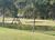 Terreno, 450 m² - Foto 2