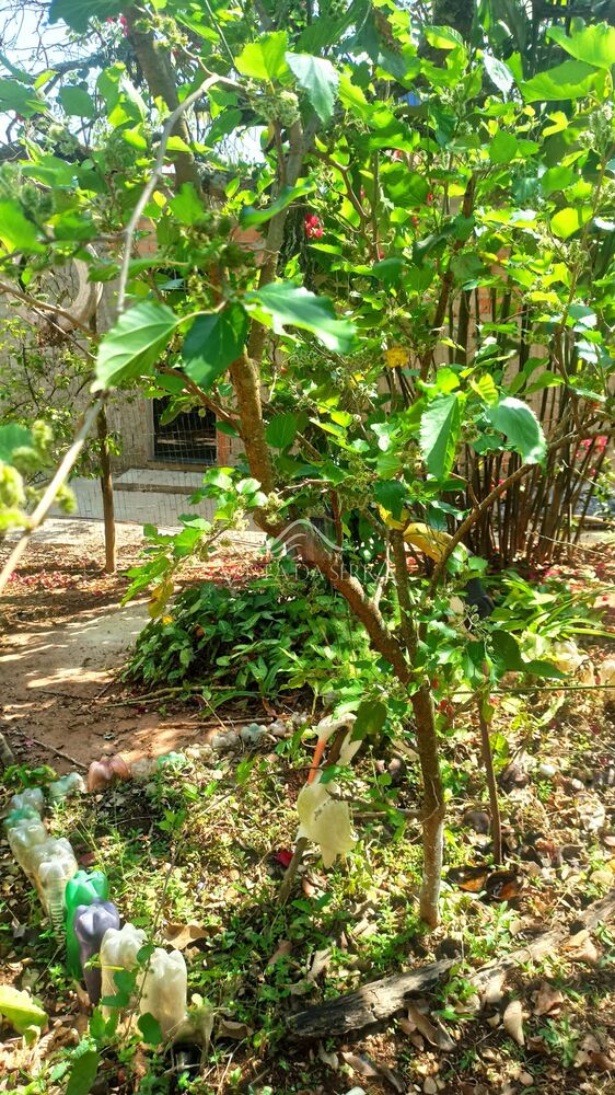 Casa à venda com 2 quartos, 720m² - Foto 18