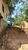 Casa, 2 quartos, 720 m² - Foto 13