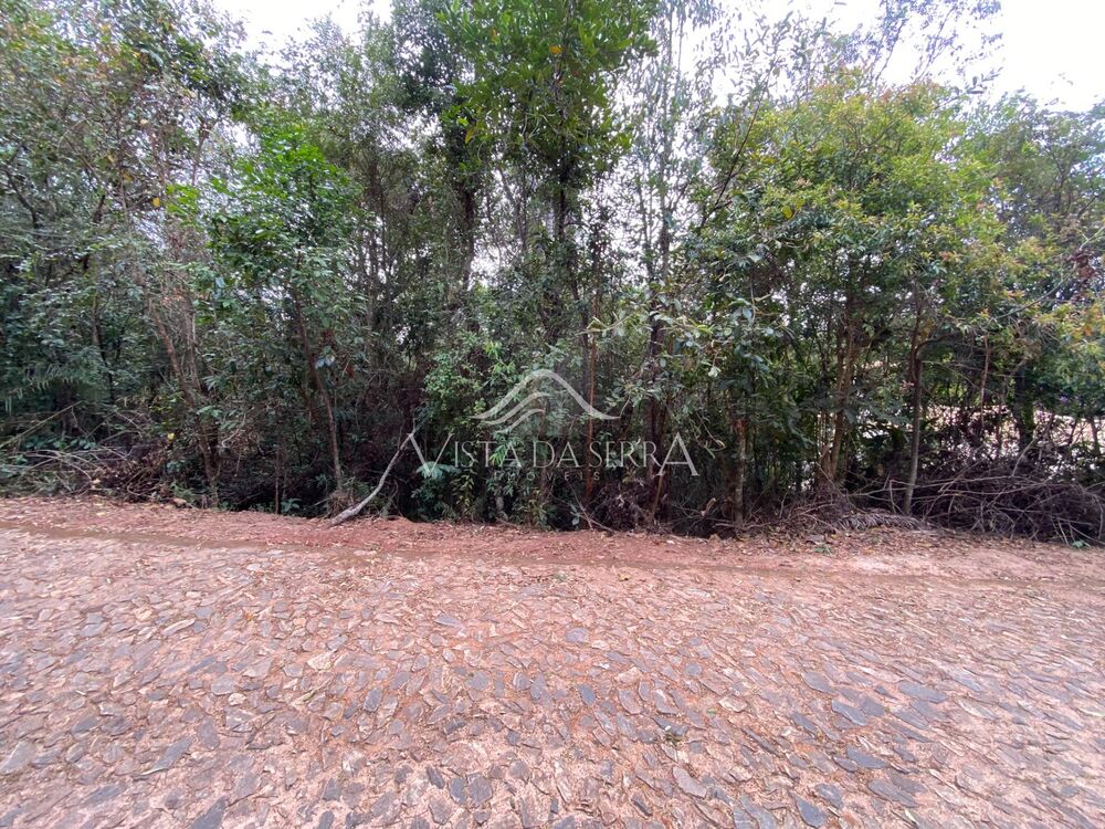 Casa de Condomínio - Foto 6