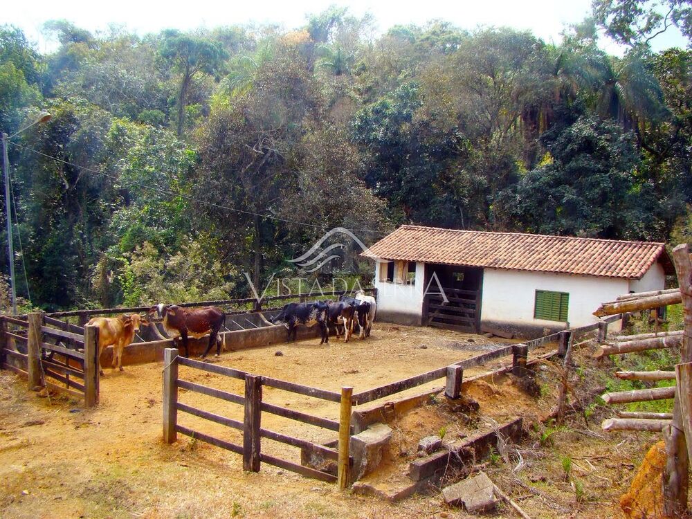Fazenda, 146 hectares - Foto 4