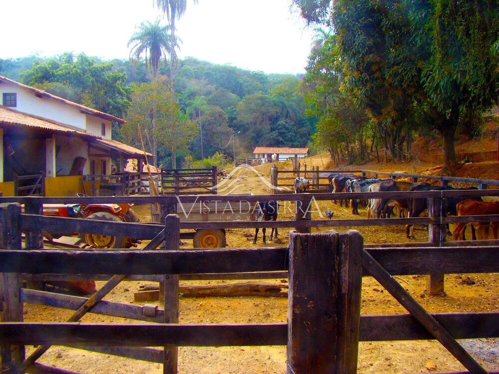 Fazenda, 146 hectares - Foto 3