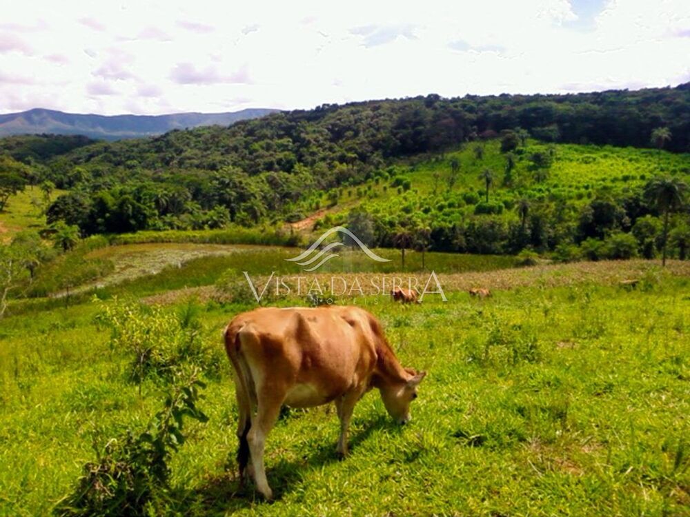 Fazenda, 146 hectares - Foto 1