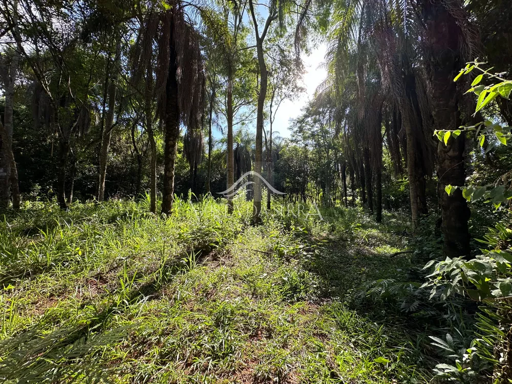 Casa de Condomínio à venda, 1000m² - Foto 3