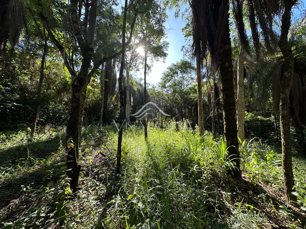 Casa de Condomínio à venda, 1000m² - Foto 2