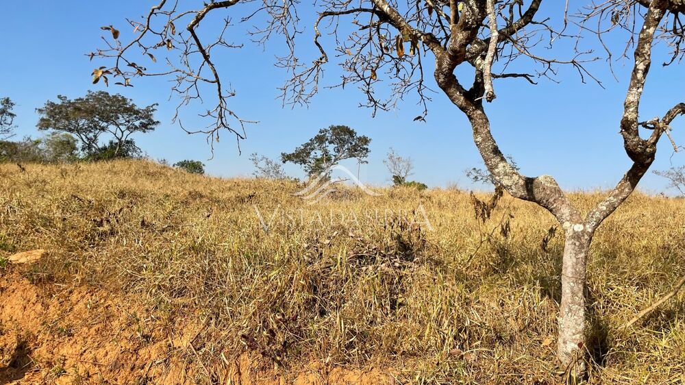 Terreno à venda, 20000m² - Foto 1