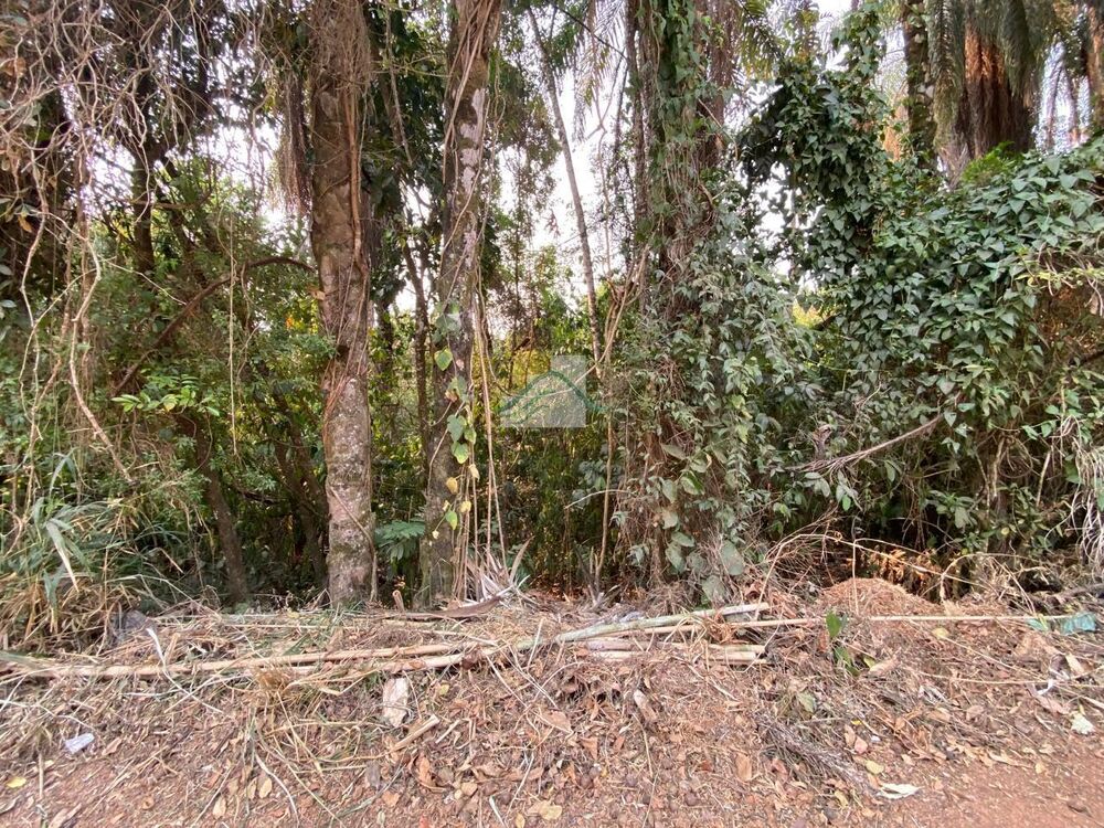 Casa de Condomínio - Foto 2
