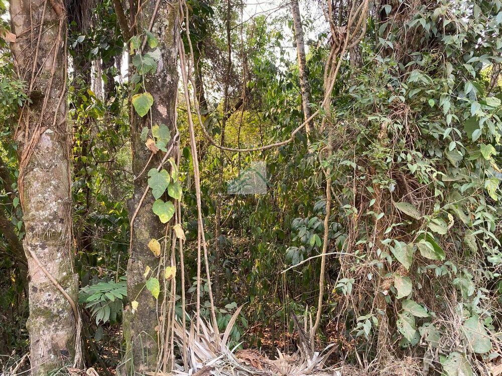 Casa de Condomínio - Foto 1