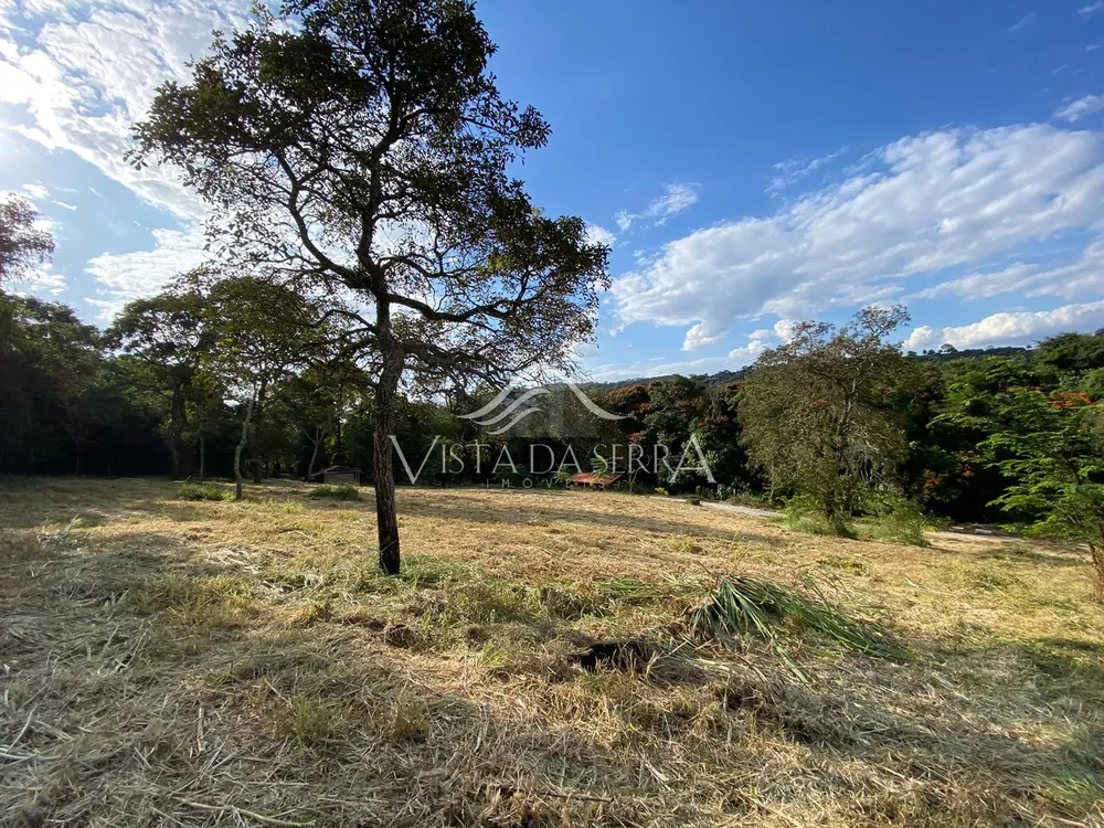 Terreno à venda, 5000m² - Foto 3