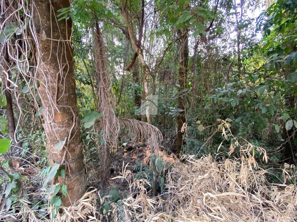 Casa de Condomínio - Foto 4