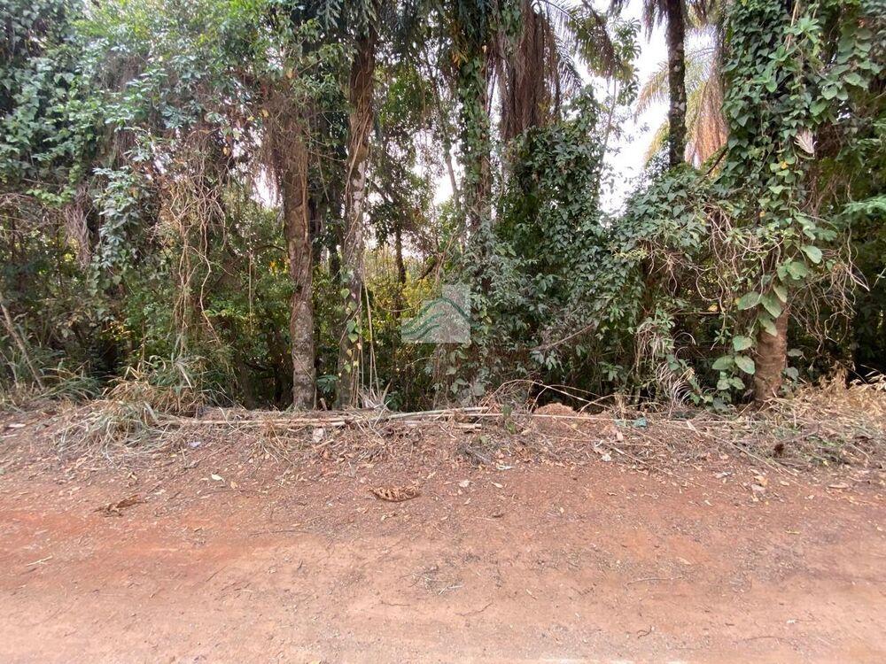 Casa de Condomínio - Foto 1