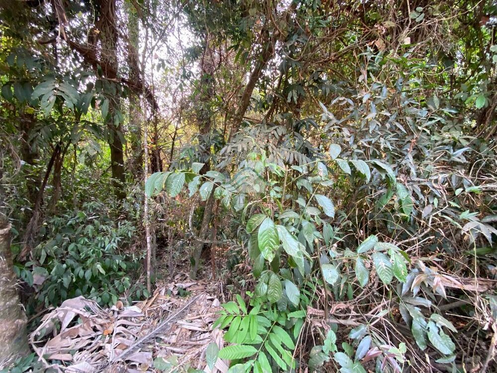 Casa de Condomínio - Foto 3