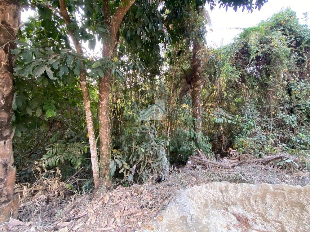 Casa de Condomínio - Foto 2