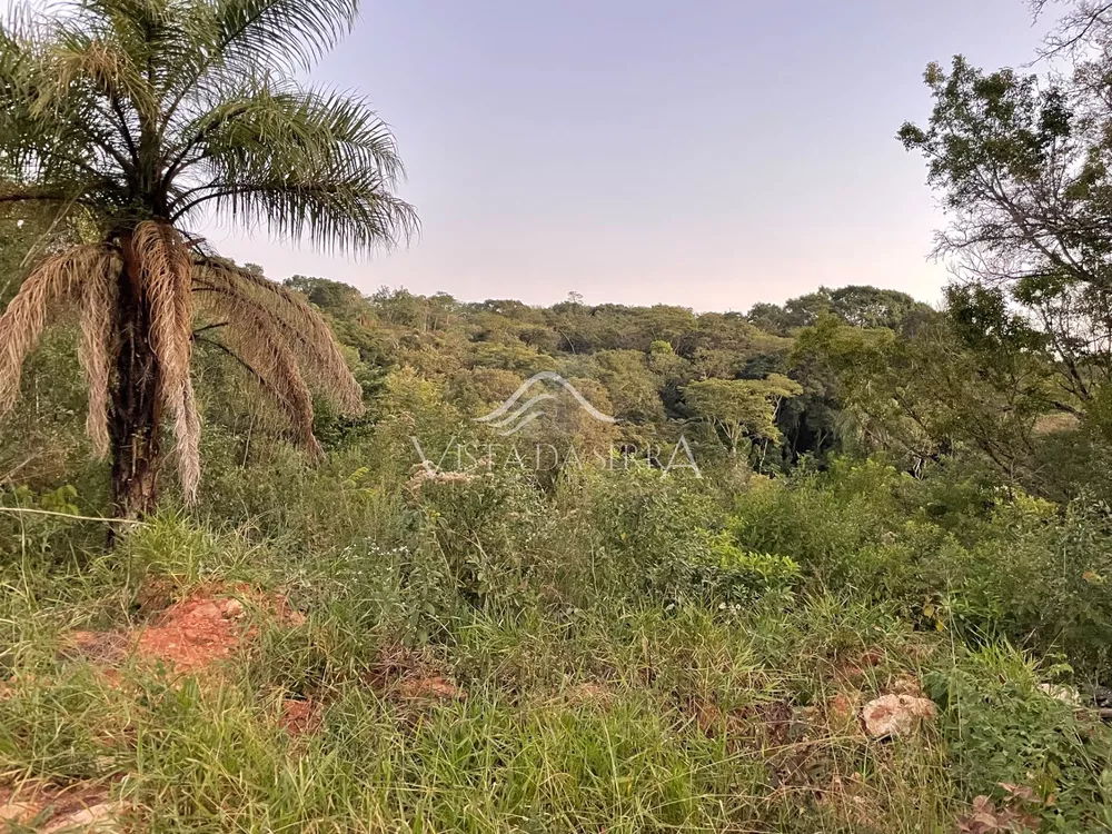 Terreno, 2 hectares - Foto 3